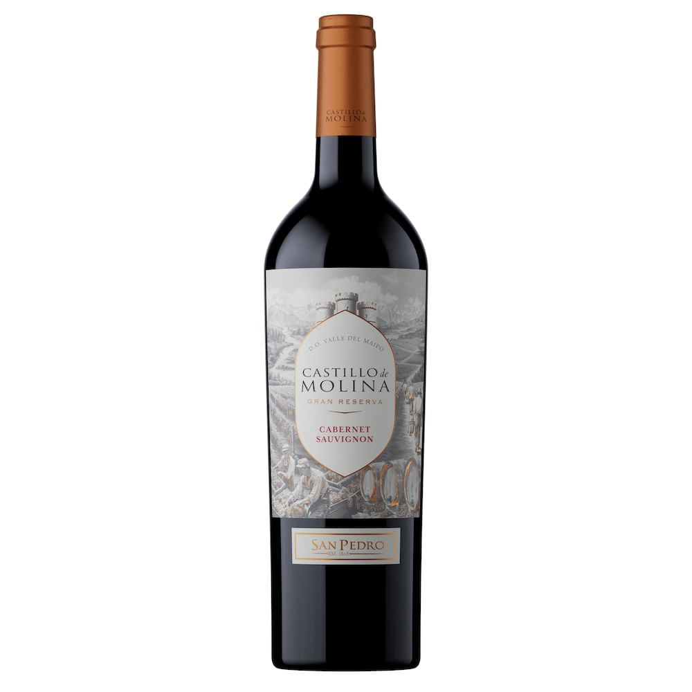 Vino Tinto Castillo De Molina Cabernet Sauvignon - 1