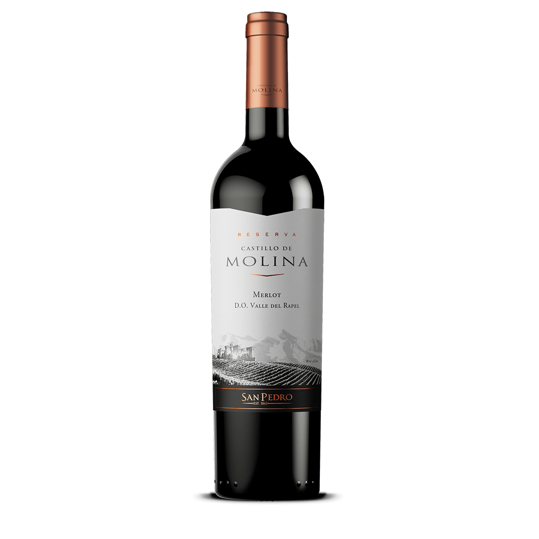Vino Tinto Castillo De Molina Reserva Merlot - 1