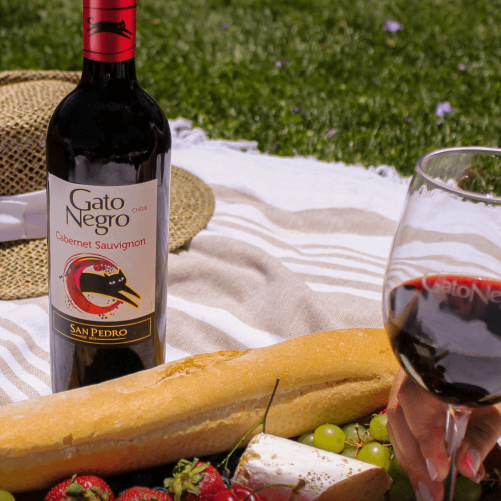 Vino Tinto Gato Negro Varietal Cabernet Sauvignon - 3