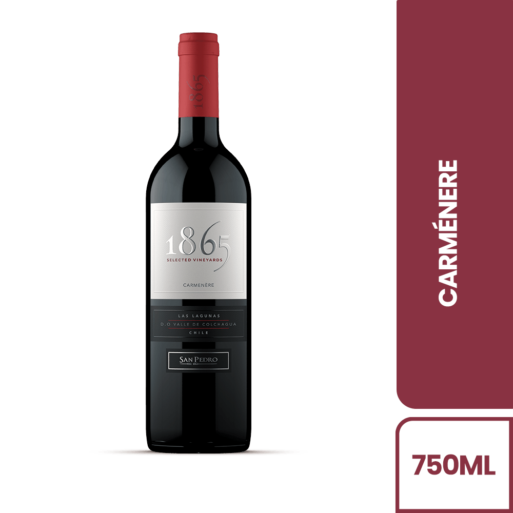 Vino Tinto 1865 Carmenere - 2