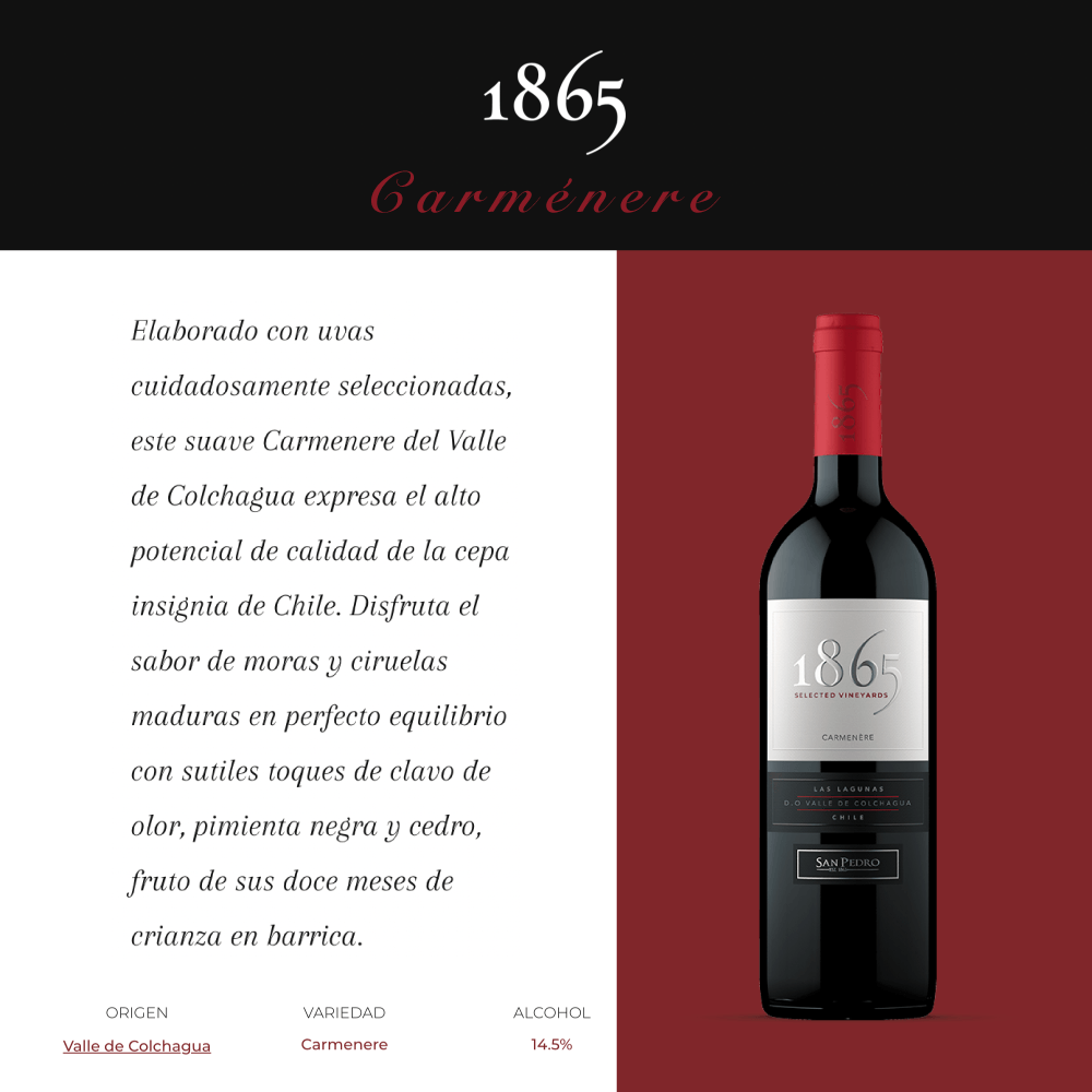 Vino Tinto 1865 Carmenere - 3