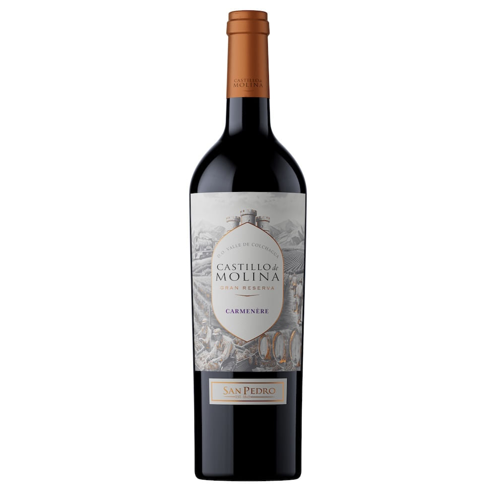 Vino Tinto Castillo De Molina Reserva Carmenere - 1