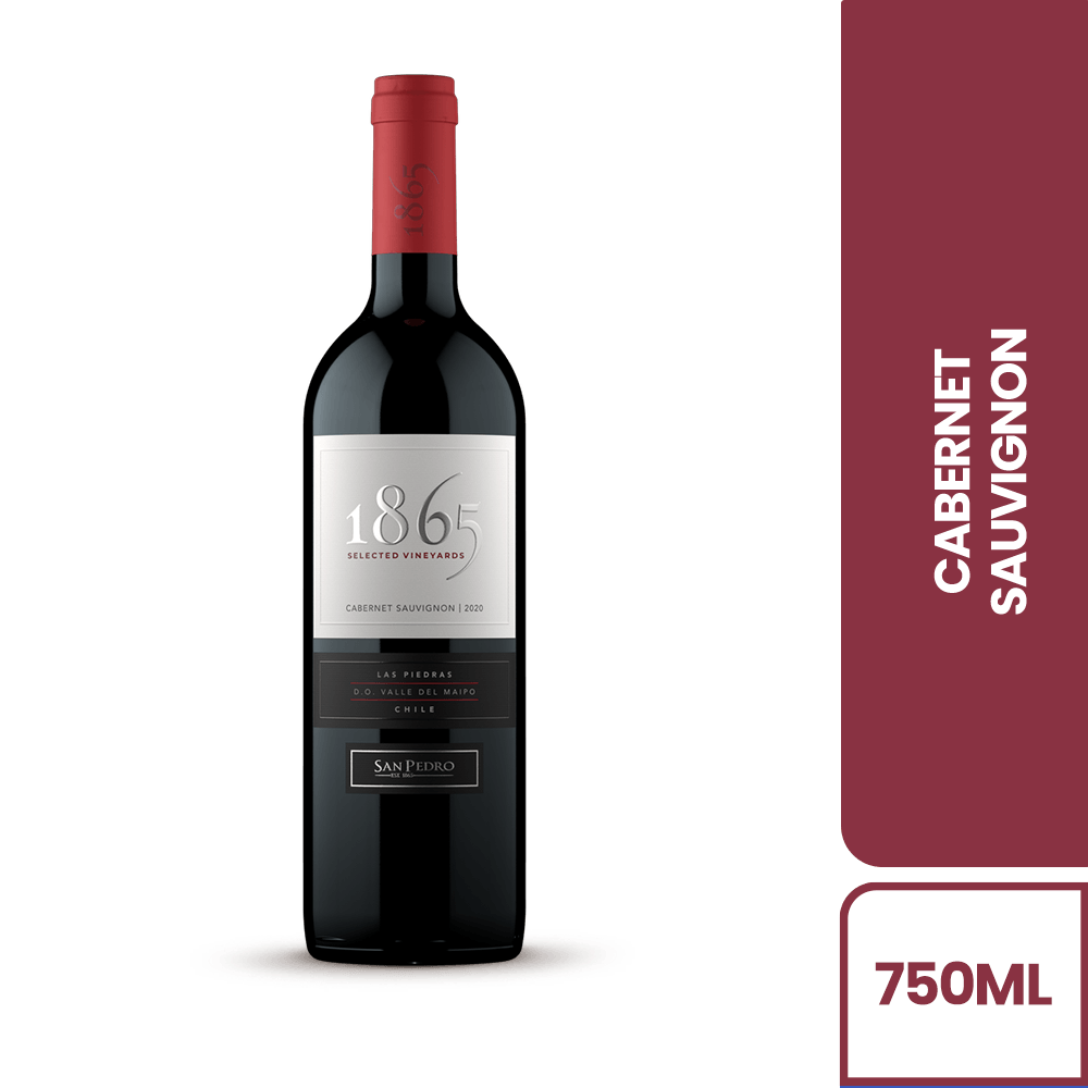 Vino Tinto 1865 Cabernet Sauvignon - 2