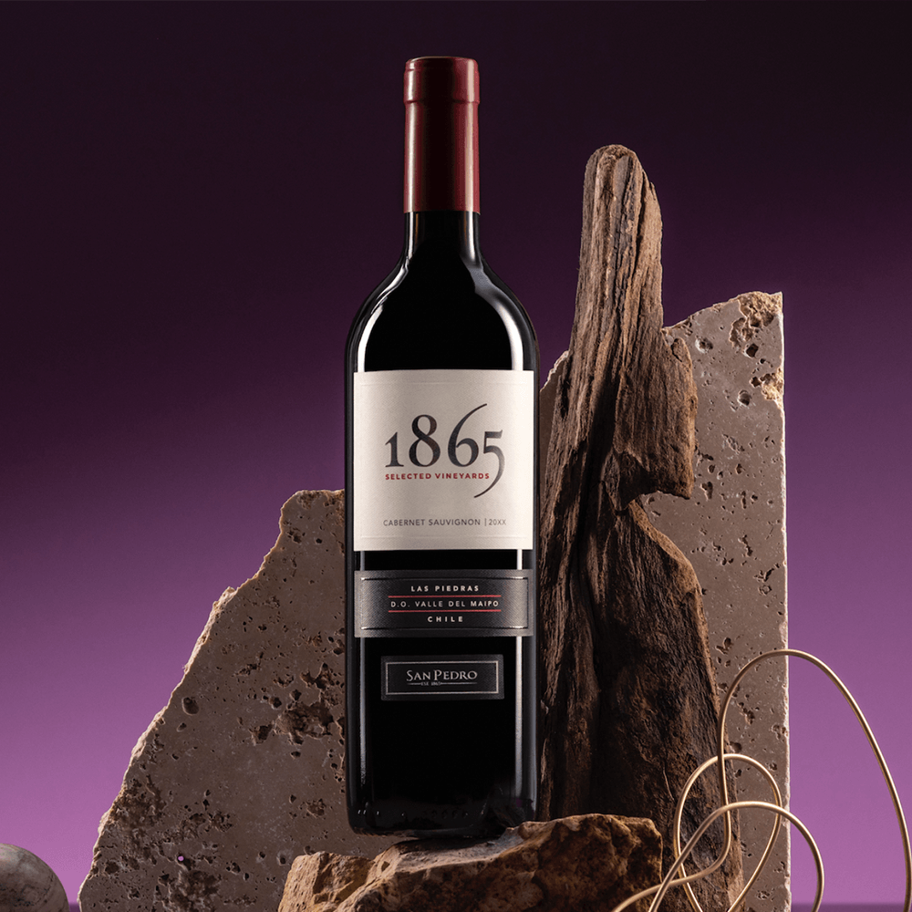Vino Tinto 1865 Cabernet Sauvignon - 3