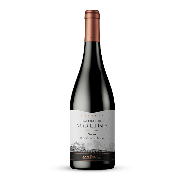 Vino Tinto Castillo Molina Syrah - 1