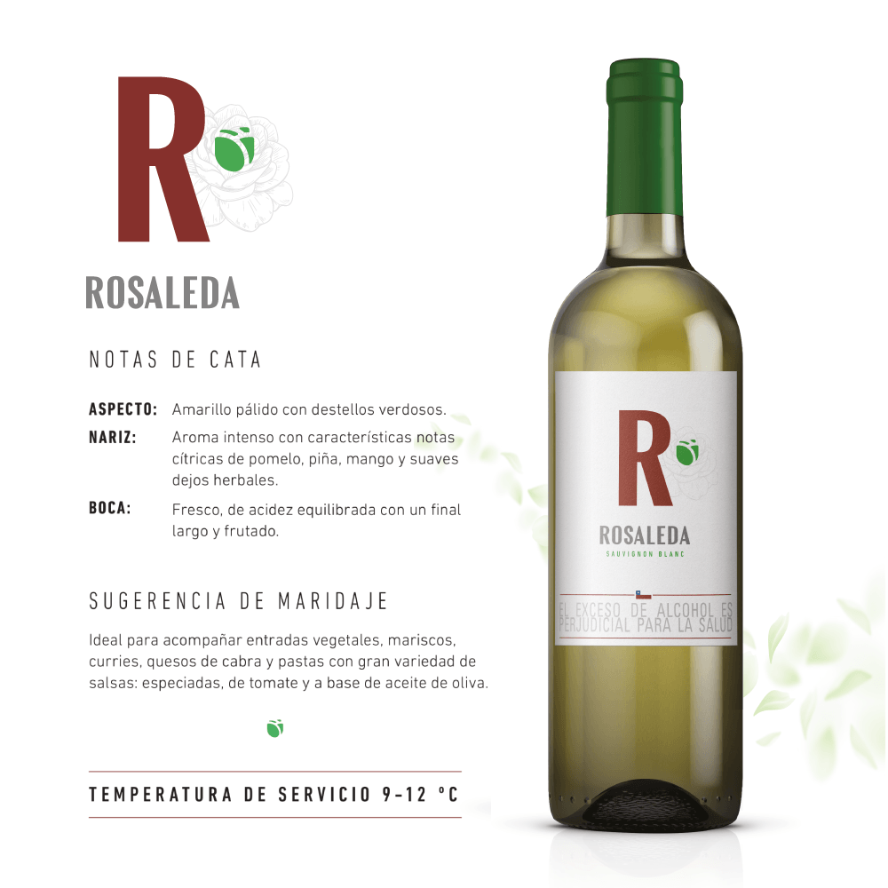 Vino Blanco Rosaleda Sauvignon Blanc - 3