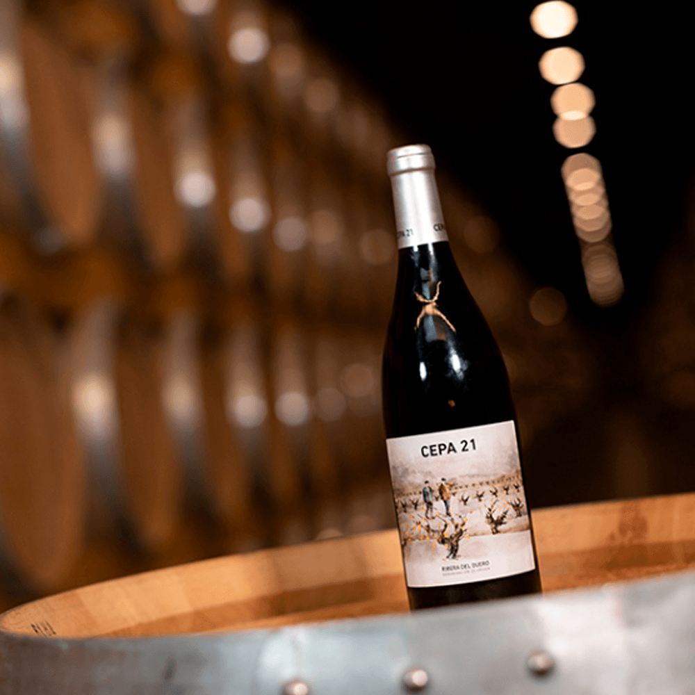 Vino Tinto Fino Cepa 21 Tempranillo - 3