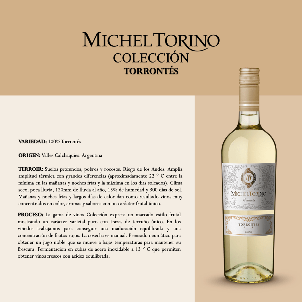 Vino Blanco Michel Torino Torrontes - 3