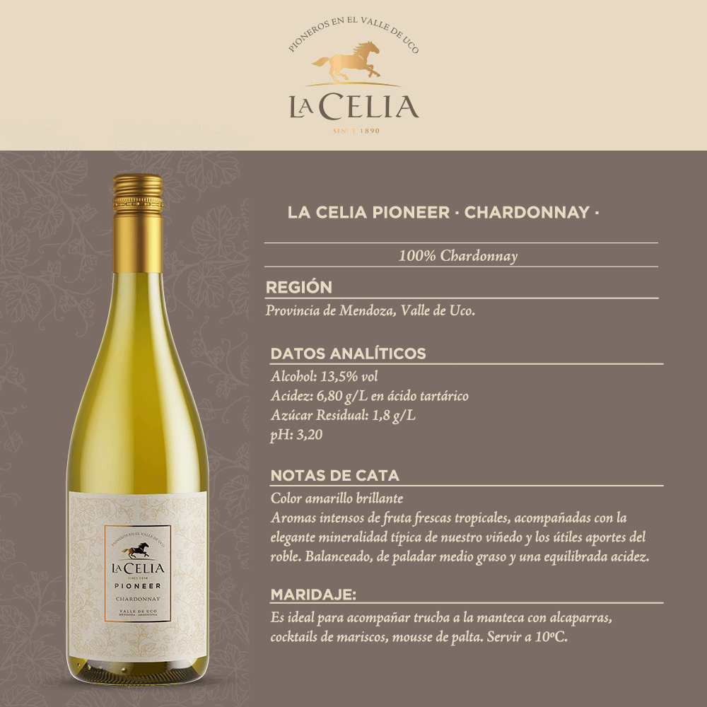 Vino Blanco La Celia Pioneer Chardonnay - 3