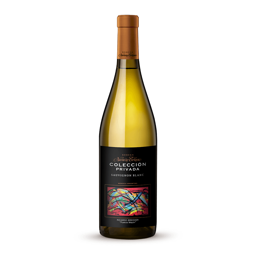 Vino Blanco Navarro Correas Colección Privada Sauvignon Blanc - 1