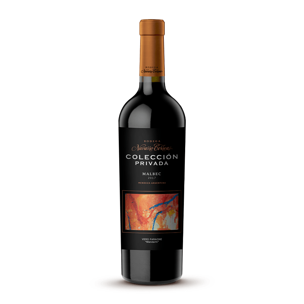Vino Tinto Navarro Correas Colección Privada Malbec - 1