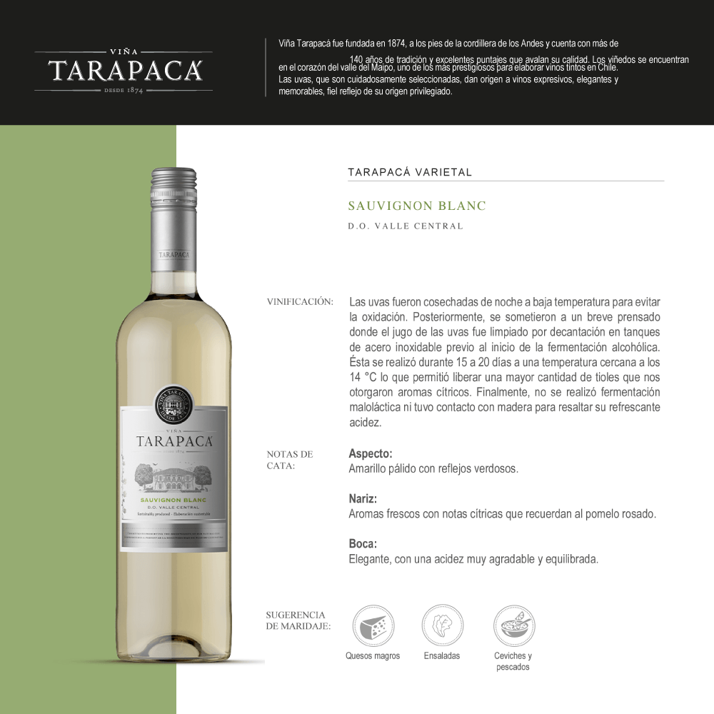 Vino Blanco Tarapacá Sauvignon Blanc Varietal - 3