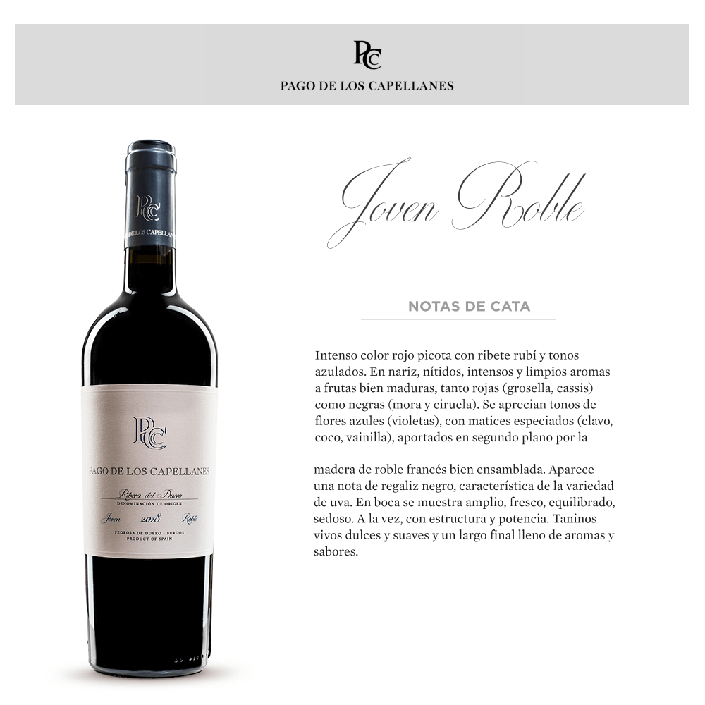 Vino Tinto Pago De Capellanes Joven Tempranillo - 3