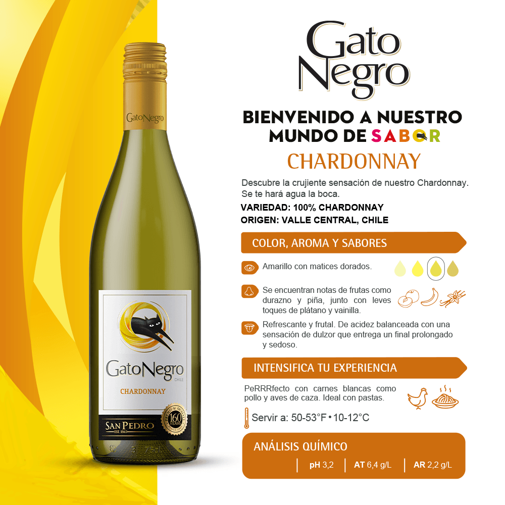 Vino Blanco Gato Negro Chardonay - 2
