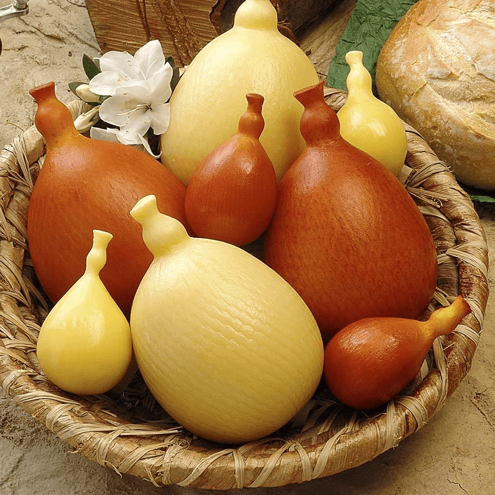 Queso Caciocavallo Del Vecchio - 3